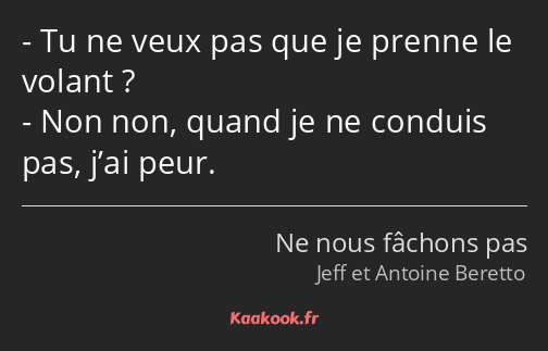 Tu ne veux pas que je prenne le volant ? Non non, quand je ne conduis pas, j’ai peur.