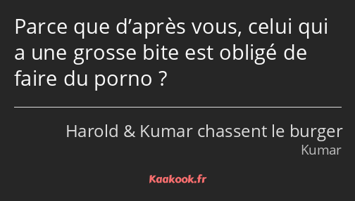 Parce que d’après vous, celui qui a une grosse bite est obligé de faire du porno ?