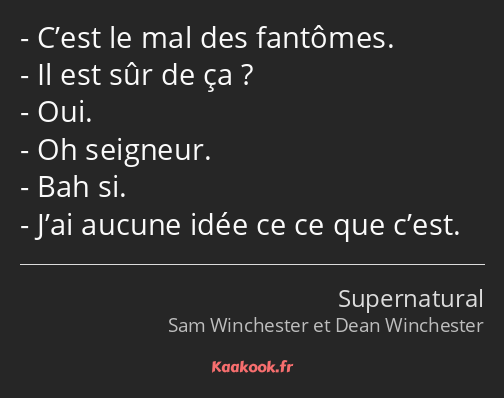 C’est le mal des fantômes. Il est sûr de ça ? Oui. Oh seigneur. Bah si. J’ai aucune idée ce ce que…