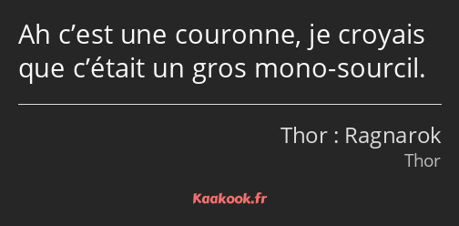 Ah c’est une couronne, je croyais que c’était un gros mono-sourcil.