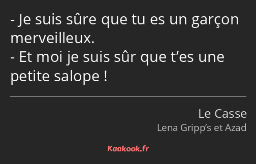 Je suis sûre que tu es un garçon merveilleux. Et moi je suis sûr que t’es une petite salope !