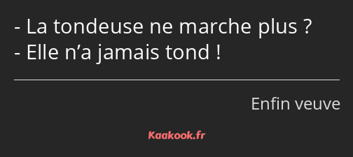 La tondeuse ne marche plus ? Elle n’a jamais tond !