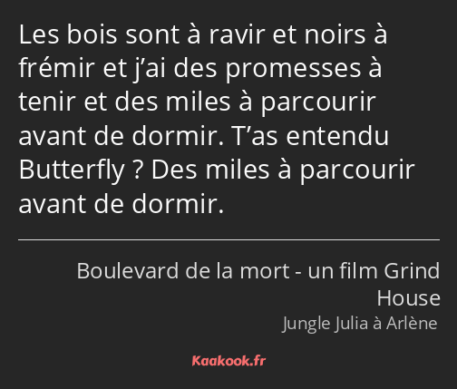 Les bois sont à ravir et noirs à frémir et j’ai des promesses à tenir et des miles à parcourir…