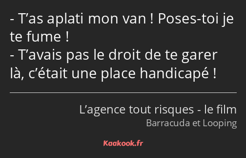 T’as aplati mon van ! Poses-toi je te fume ! T’avais pas le droit de te garer là, c’était une place…