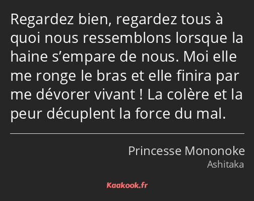 Regardez bien, regardez tous à quoi nous ressemblons lorsque la haine s’empare de nous. Moi elle me…