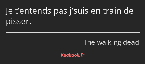 Je t’entends pas j’suis en train de pisser.