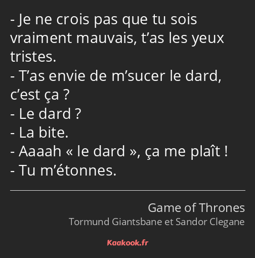 Je ne crois pas que tu sois vraiment mauvais, t’as les yeux tristes. T’as envie de m’sucer le dard…