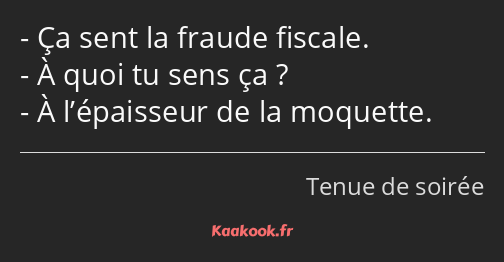 Ça sent la fraude fiscale. À quoi tu sens ça ? À l’épaisseur de la moquette.