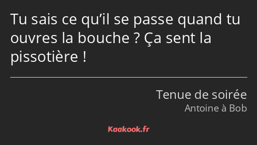 Tu sais ce qu’il se passe quand tu ouvres la bouche ? Ça sent la pissotière !