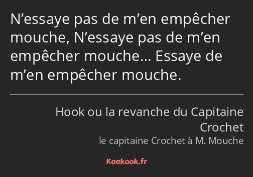 N’essaye pas de m’en empêcher mouche, N’essaye pas de m’en empêcher mouche… Essaye de m’en empêcher…