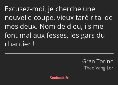 Excusez-moi, je cherche une nouvelle coupe, vieux taré rital de mes deux. Nom de dieu, ils me font…