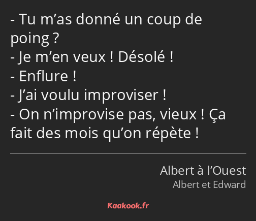 Tu m’as donné un coup de poing ? Je m’en veux ! Désolé ! Enflure ! J’ai voulu improviser ! On…