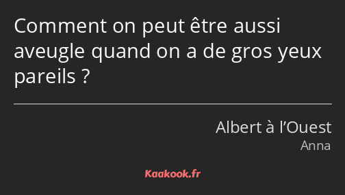 Comment on peut être aussi aveugle quand on a de gros yeux pareils ?