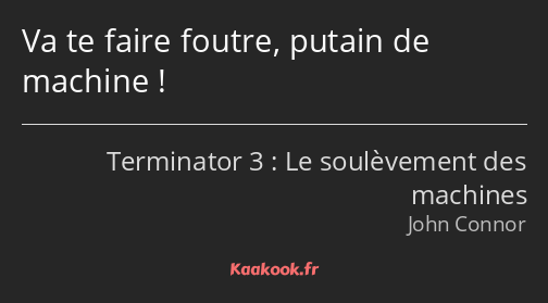 Va te faire foutre, putain de machine !