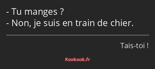 Tu manges ? Non, je suis en train de chier.