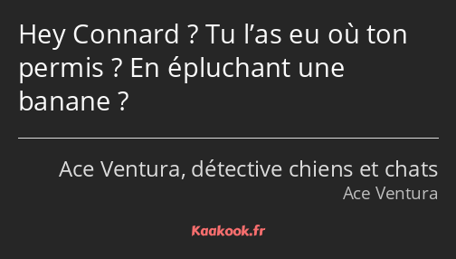 Hey Connard ? Tu l’as eu où ton permis ? En épluchant une banane ?