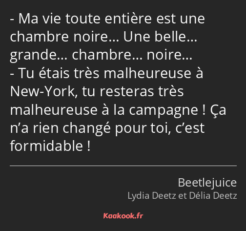 Ma vie toute entière est une chambre noire… Une belle… grande… chambre… noire… Tu étais très…