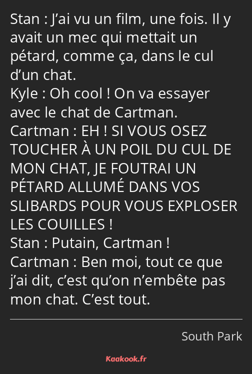 J’ai vu un film, une fois. Il y avait un mec qui mettait un pétard, comme ça, dans le cul d’un chat…