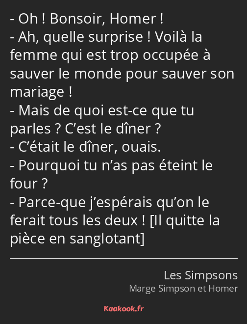 Oh ! Bonsoir, Homer ! Ah, quelle surprise ! Voilà la femme qui est trop occupée à sauver le monde…