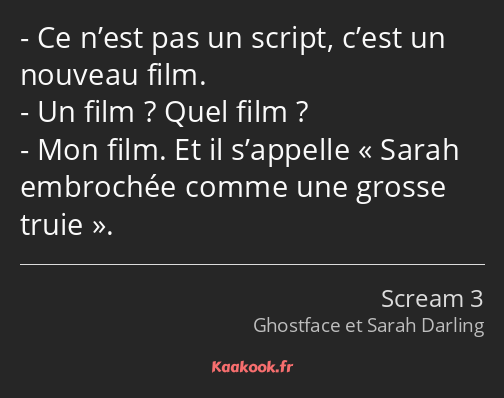 Ce n’est pas un script, c’est un nouveau film. Un film ? Quel film ? Mon film. Et il s’appelle…