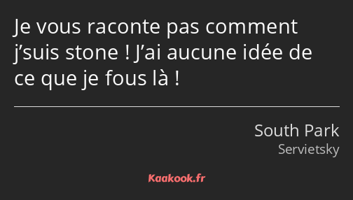 Je vous raconte pas comment j’suis stone ! J’ai aucune idée de ce que je fous là !