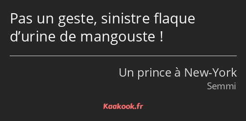 Pas un geste, sinistre flaque d’urine de mangouste !