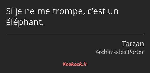 Si je ne me trompe, c’est un éléphant.