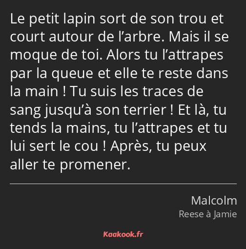 Le petit lapin sort de son trou et court autour de l’arbre. Mais il se moque de toi. Alors tu…