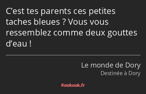 C’est tes parents ces petites taches bleues ? Vous vous ressemblez comme deux gouttes d’eau !