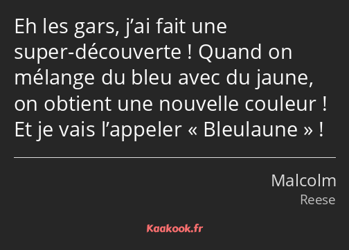 Eh les gars, j’ai fait une super-découverte ! Quand on mélange du bleu avec du jaune, on obtient…