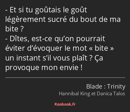 Et si tu goûtais le goût légèrement sucré du bout de ma bite ? Dîtes, est-ce qu’on pourrait éviter…