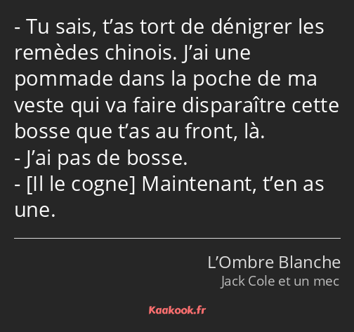 Tu sais, t’as tort de dénigrer les remèdes chinois. J’ai une pommade dans la poche de ma veste qui…