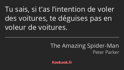 Tu sais, si t’as l’intention de voler des voitures, te déguises pas en voleur de voitures.