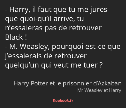 Harry, il faut que tu me jures que quoi-qu’il arrive, tu n’essaieras pas de retrouver Black ! M…