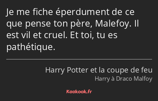 Je me fiche éperdument de ce que pense ton père, Malefoy. Il est vil et cruel. Et toi, tu es…