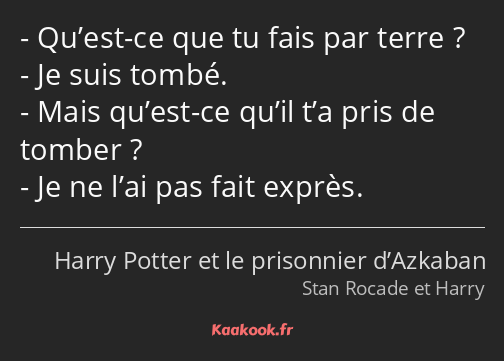 Qu’est-ce que tu fais par terre ? Je suis tombé. Mais qu’est-ce qu’il t’a pris de tomber ? Je ne…