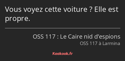 Vous voyez cette voiture ? Elle est propre.