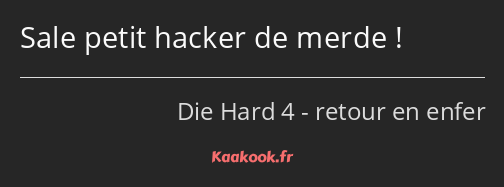 Sale petit hacker de merde !