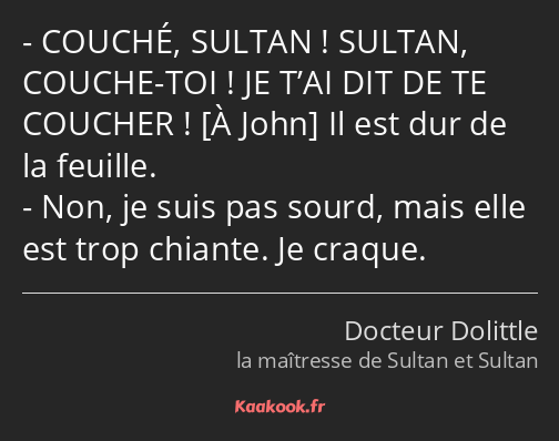 COUCHÉ, SULTAN ! SULTAN, COUCHE-TOI ! JE T’AI DIT DE TE COUCHER ! Il est dur de la feuille. Non, je…