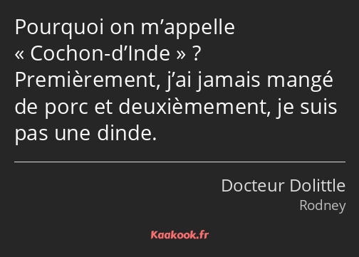 Pourquoi on m’appelle Cochon-d’Inde ? Premièrement, j’ai jamais mangé de porc et deuxièmement, je…