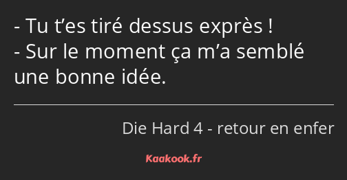 Tu t’es tiré dessus exprès ! Sur le moment ça m’a semblé une bonne idée.