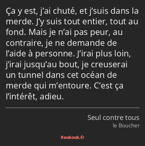 Ça y est, j’ai chuté, et j’suis dans la merde. J’y suis tout entier, tout au fond. Mais je n’ai pas…