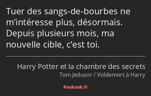 Tuer des sangs-de-bourbes ne m’intéresse plus, désormais. Depuis plusieurs mois, ma nouvelle cible…