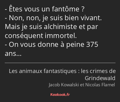 Êtes vous un fantôme ? Non, non, je suis bien vivant. Mais je suis alchimiste et par conséquent…