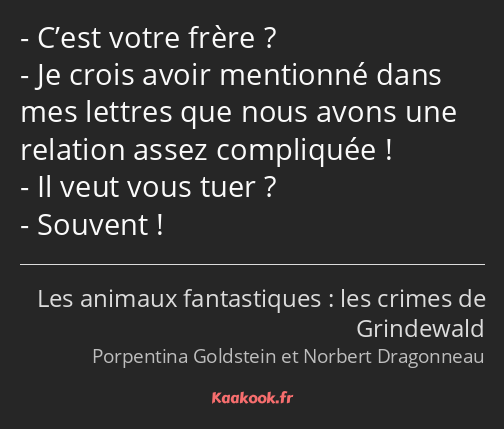 C’est votre frère ? Je crois avoir mentionné dans mes lettres que nous avons une relation assez…