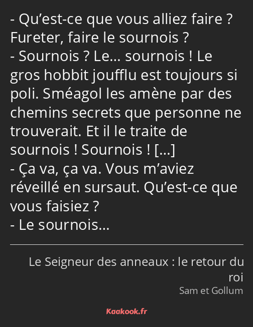 Qu’est-ce que vous alliez faire ? Fureter, faire le sournois ? Sournois ? Le… sournois ! Le gros…