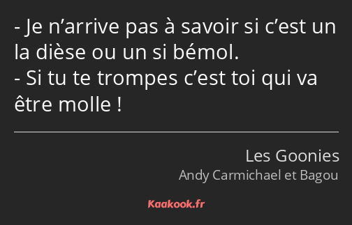 Je n’arrive pas à savoir si c’est un la dièse ou un si bémol. Si tu te trompes c’est toi qui va…