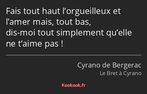 Fais tout haut l’orgueilleux et l’amer mais, tout bas, dis-moi tout simplement qu’elle ne t’aime…