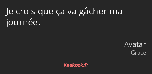 Je crois que ça va gâcher ma journée.