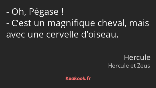 Oh, Pégase ! C’est un magnifique cheval, mais avec une cervelle d’oiseau.